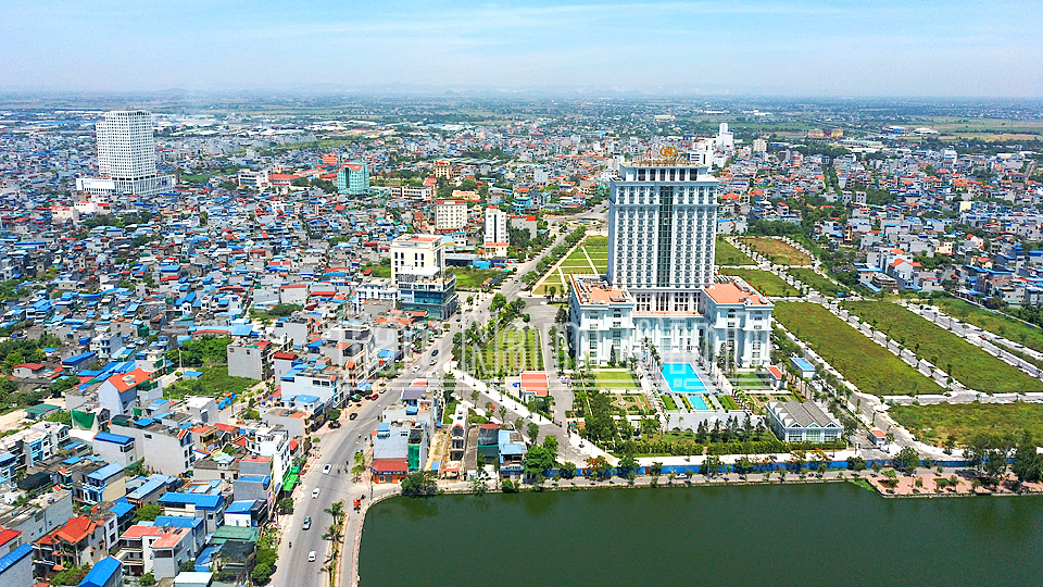 weed in nam dinh