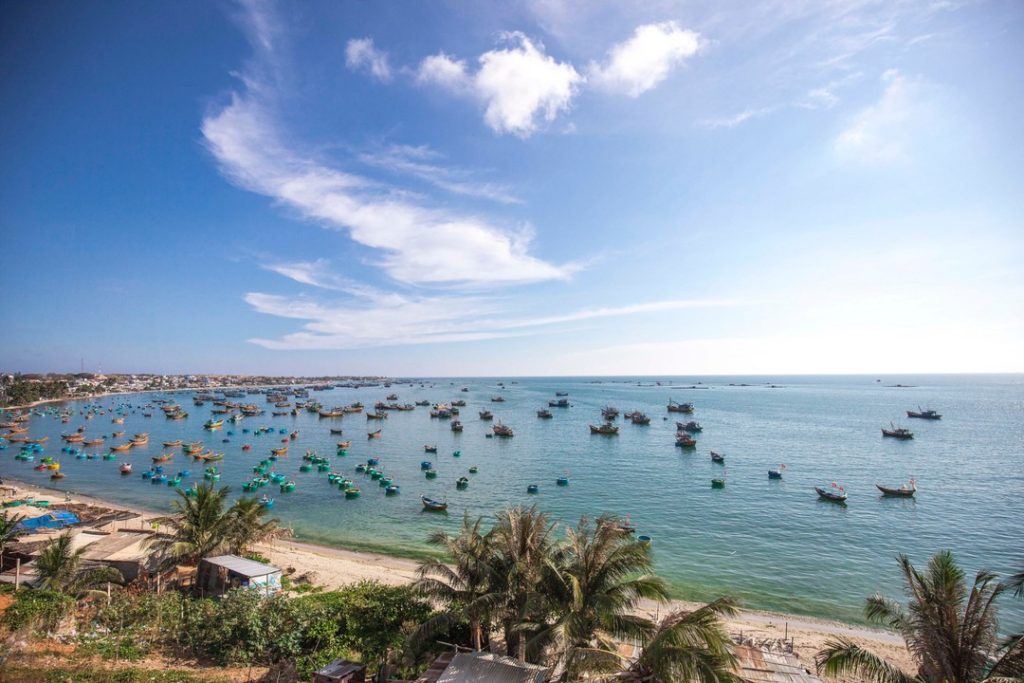 weed in phan thiet, vietnam