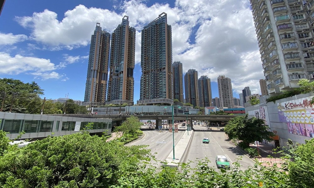 weed in tuen mun, hong kong