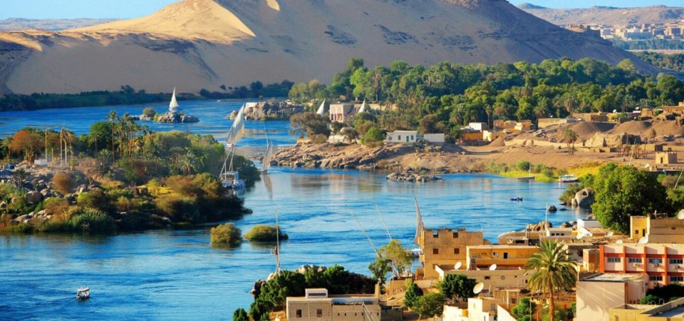 weed in aswan