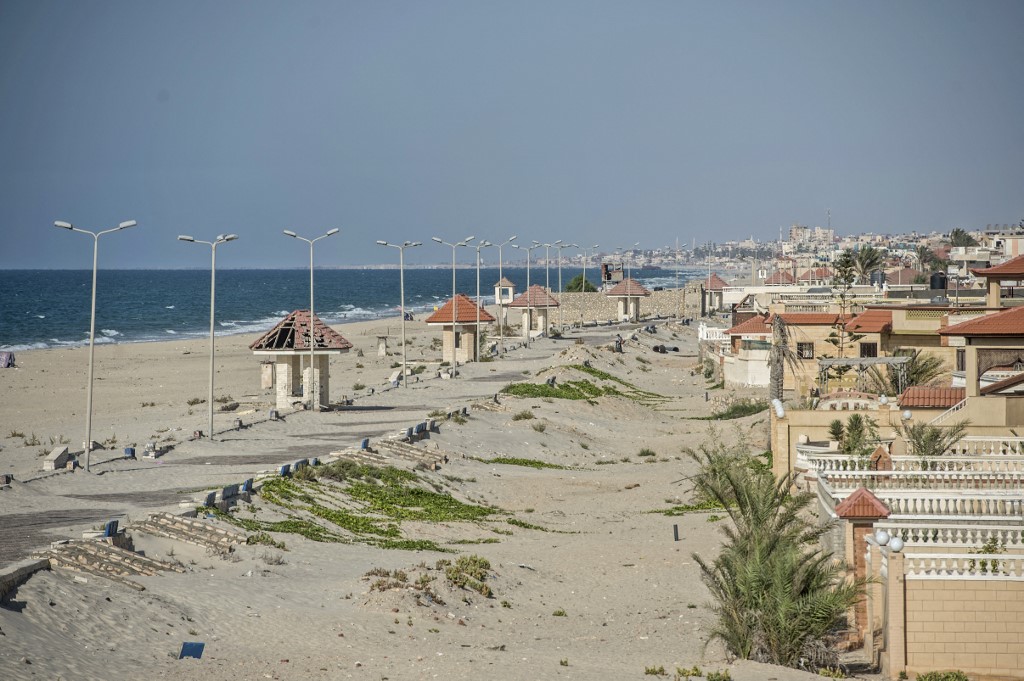 weed in arish, egypt