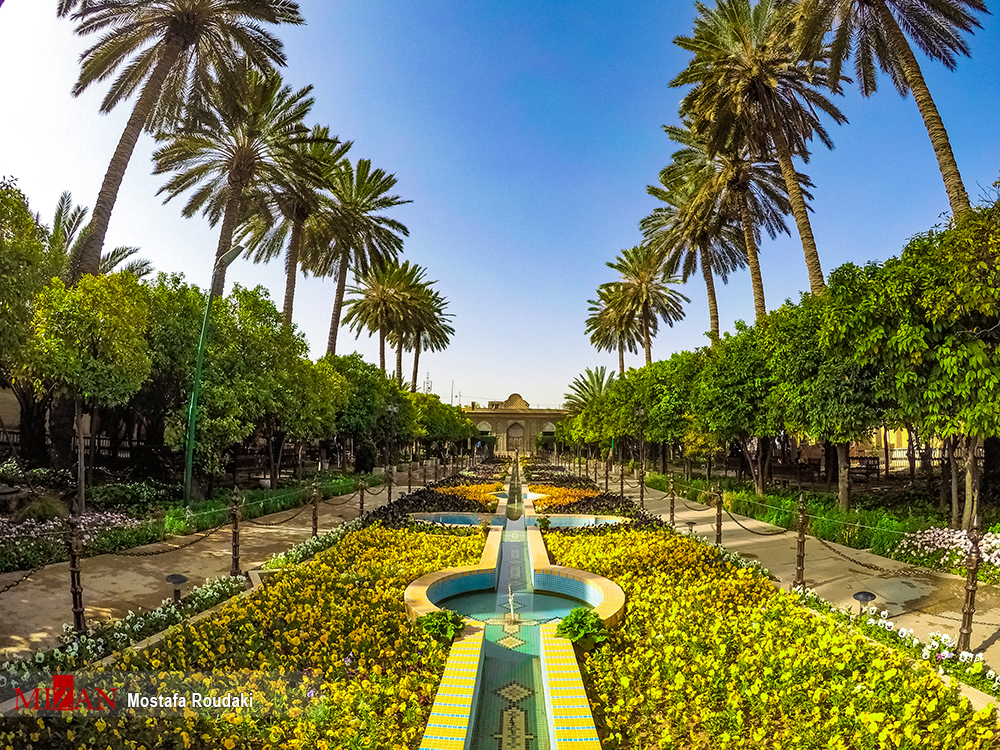 weed in shiraz iran