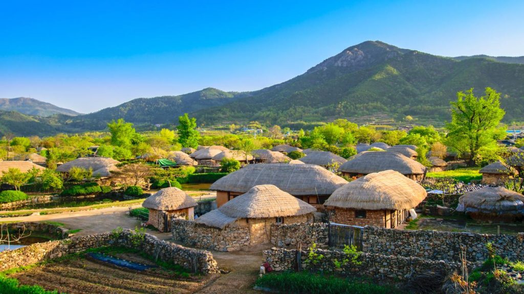 weed in suncheon south korea