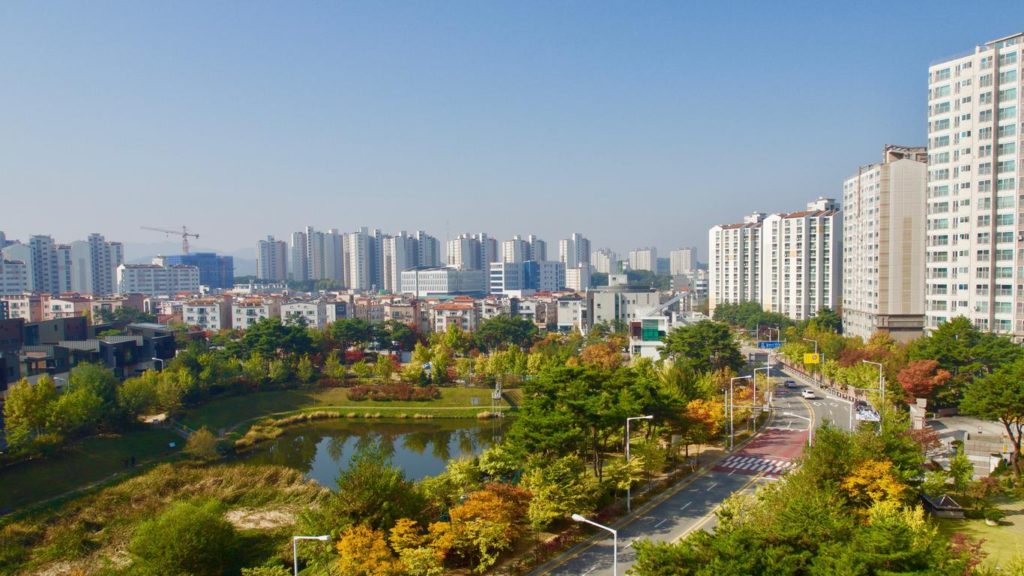 weed in cheongju-si korea