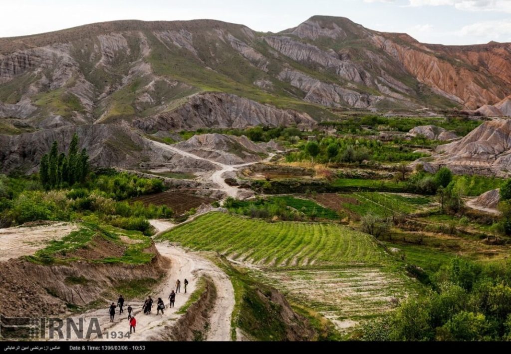 weed in neyshabur iran