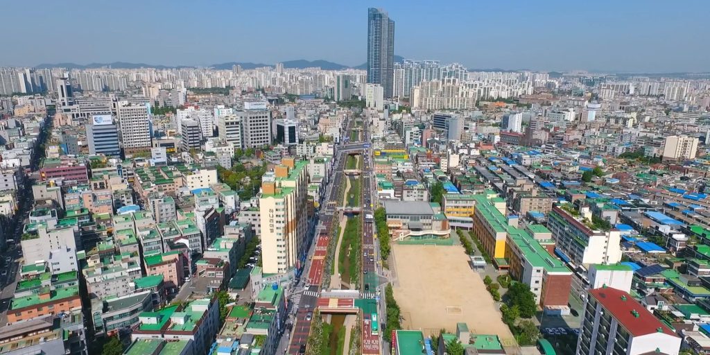 weed in bucheon-si south korea