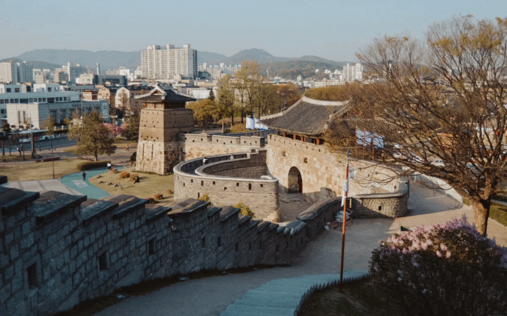 weed in suwon south korea