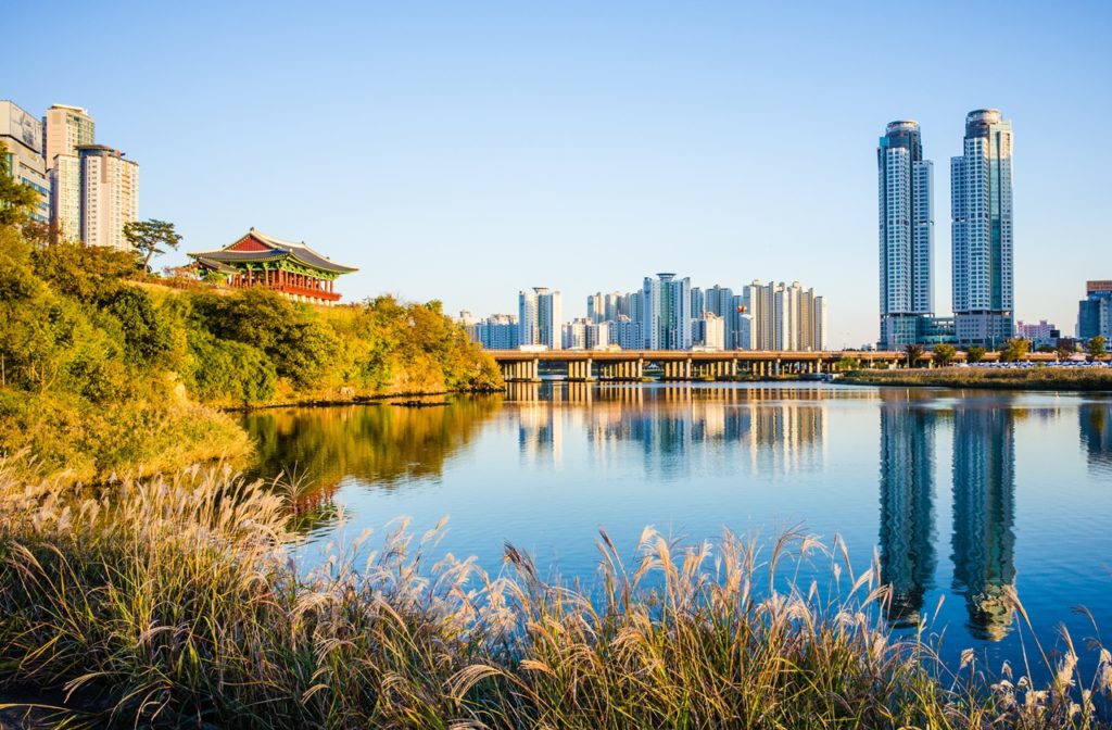 weed in ulsan south korea